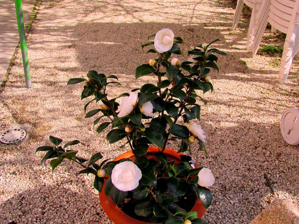 Villa Maria Bed & Breakfast, Corridonia, Marche Экстерьер фото