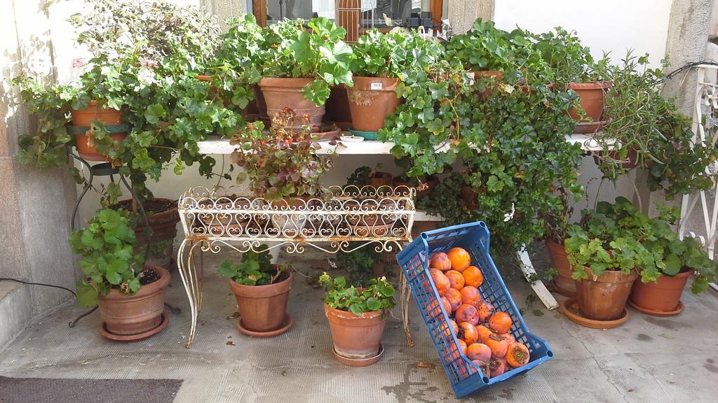 Villa Maria Bed & Breakfast, Corridonia, Marche Экстерьер фото